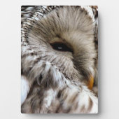 EIGENSCHAFT FOTOPLATTE (Vorderseite)