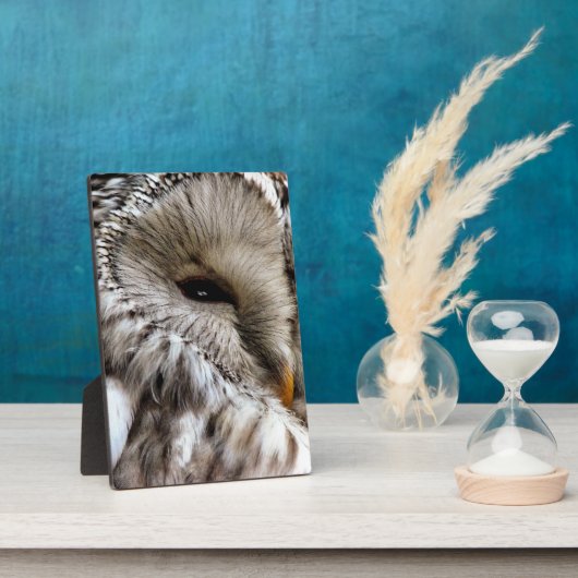 EIGENSCHAFT FOTOPLATTE (Seite)