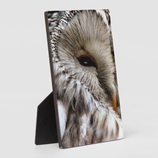 EIGENSCHAFT FOTOPLATTE (Seite)