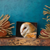 EIGENSCHAFT FOTOPLATTE (Seite)