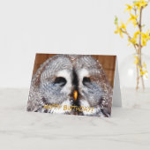 EIGENSCHAFT KARTE (Gelbe Blume)