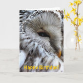 EIGENSCHAFT KARTE (Gelbe Blume)