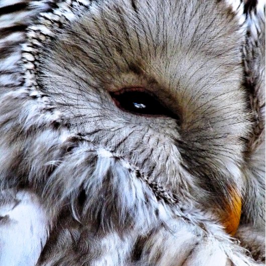 EIGENSCHAFT KERAMIKKNAUF