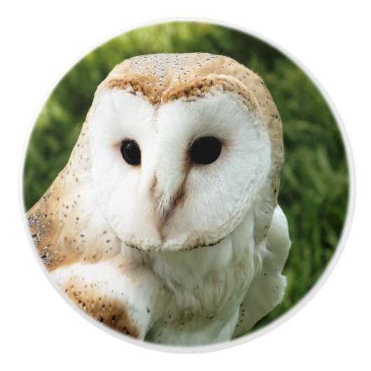 EIGENSCHAFT KERAMIKKNAUF (Vorderseite)