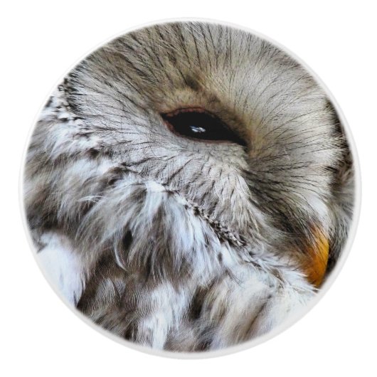 EIGENSCHAFT KERAMIKKNAUF (Vorderseite)