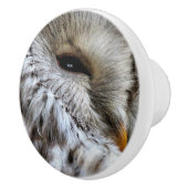 EIGENSCHAFT KERAMIKKNAUF (Rechts)