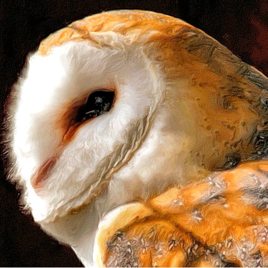 EIGENSCHAFT KRAWATTE