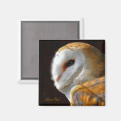 EIGENSCHAFT MAGNET (Vorderseite/Rückseite)