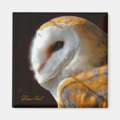 EIGENSCHAFT MAGNET (Vorne)