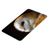 EIGENSCHAFT MAGNET (Linke Seite)