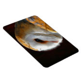 EIGENSCHAFT MAGNET (Rechte Seite)