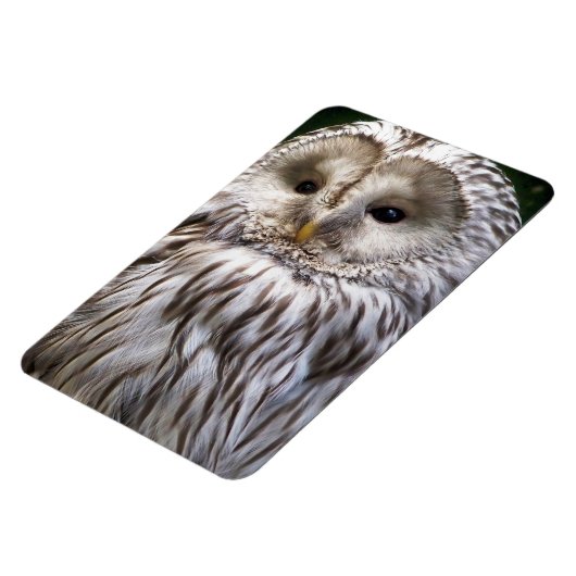 EIGENSCHAFT MAGNET (Linke Seite)