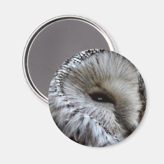 EIGENSCHAFT MAGNET (Vorderseite/Rückseite)