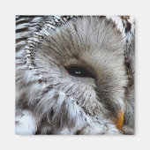 EIGENSCHAFT MAGNET (Vorne)