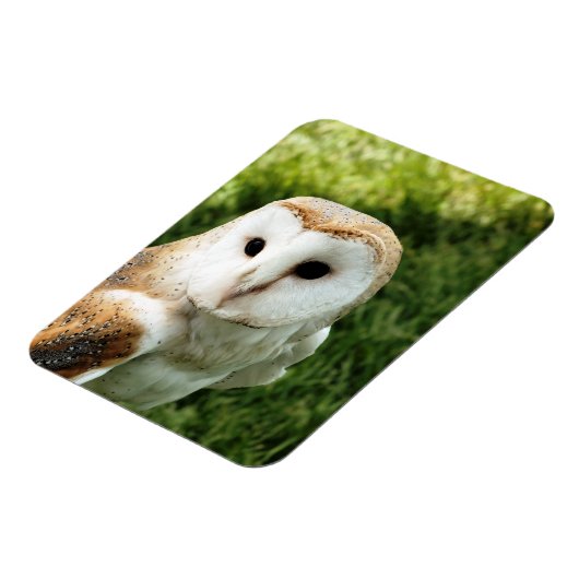 EIGENSCHAFT MAGNET (Linke Seite)