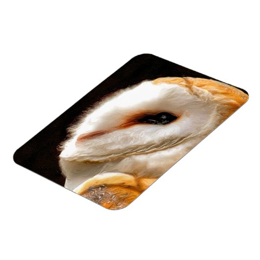 EIGENSCHAFT MAGNET (Linke Seite)