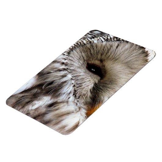 EIGENSCHAFT MAGNET (Linke Seite)