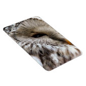 EIGENSCHAFT MAGNET (Rechte Seite)