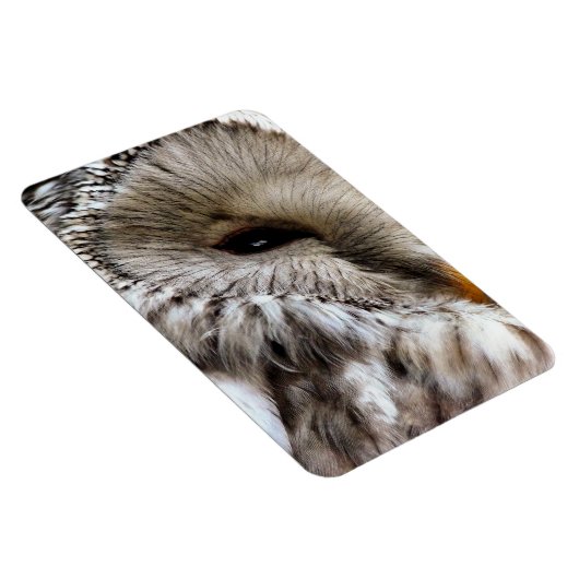 EIGENSCHAFT MAGNET (Rechte Seite)