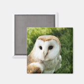 EIGENSCHAFT MAGNET (Vorderseite/Rückseite)