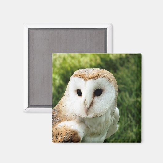 EIGENSCHAFT MAGNET (Vorderseite/Rückseite)