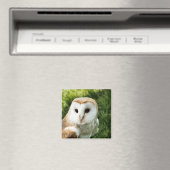 EIGENSCHAFT MAGNET (In Situ (Geschirrspüler))