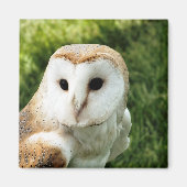 EIGENSCHAFT MAGNET (Vorne)