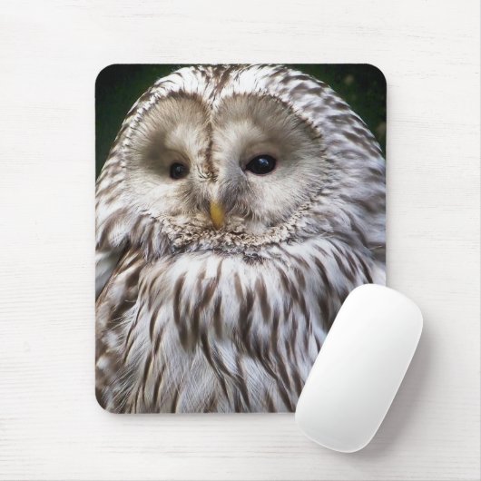 EIGENSCHAFT MOUSEPAD (Mit Mouse)