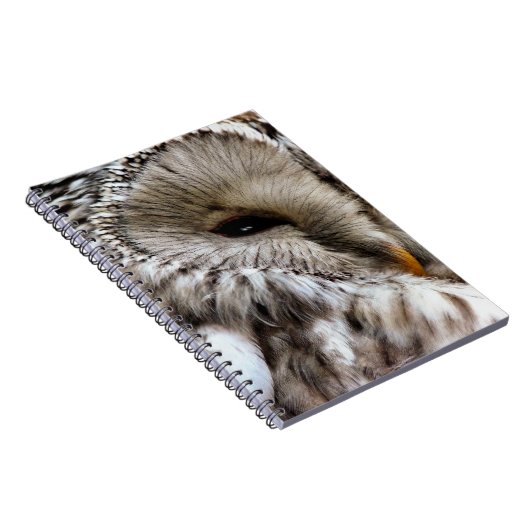 EIGENSCHAFT NOTIZBLOCK (Rechte Seite)