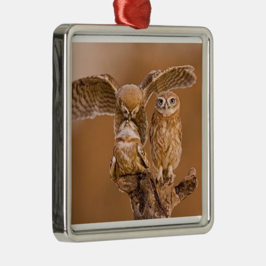 EIGENSCHAFT ORNAMENT AUS METALL (Rechts)