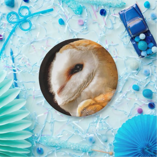 EIGENSCHAFT PAPPTELLER (Party)