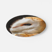 EIGENSCHAFT PAPPTELLER (Schrägansicht)