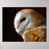 EIGENSCHAFT POSTER (Vorne)