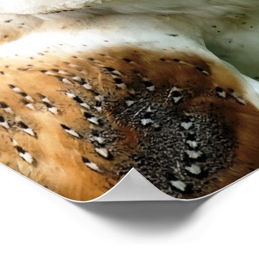 EIGENSCHAFT POSTER (Ecke)