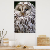 EIGENSCHAFT POSTER (Küche)