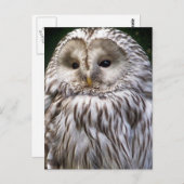 EIGENSCHAFT POSTKARTE (Vorne/Hinten)