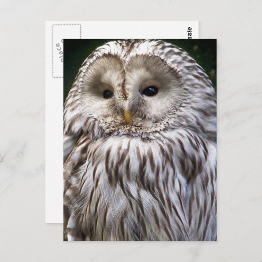 EIGENSCHAFT POSTKARTE (Vorne/Hinten)