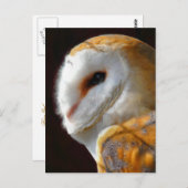 EIGENSCHAFT POSTKARTE (Vorne/Hinten)