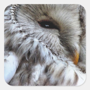 EIGENSCHAFT QUADRATISCHER AUFKLEBER