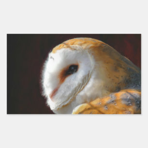 EIGENSCHAFT RECHTECKIGER AUFKLEBER