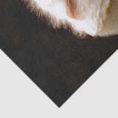 EIGENSCHAFT SEIDENPAPIER (Detail)