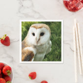 EIGENSCHAFT SERVIETTE (Beispiel)