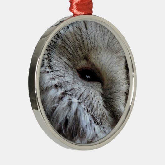 EIGENSCHAFT SILBERNES ORNAMENT (Rechts)