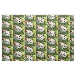 EIGENSCHAFT STOFF