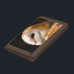 EIGENSCHAFT TRI-FOLD GELDBEUTEL<br><div class="desc">Eine schöne,  weiche künstlerische Aquarell einer Barnschale.</div>