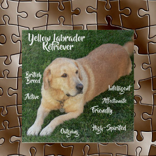 Eigenschaften des Yellow Labrador Retrievers Spiel Puzzle