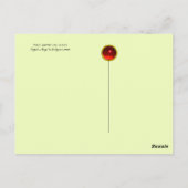 EIGENSCHAFTEN ZWISCHEN HERBSTLAUBEN IN WOODLAND POSTKARTE (Rückseite)