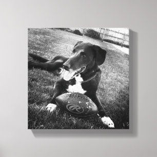 eigensinnig leinwanddruck