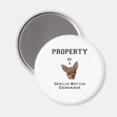 Eigentum eines verwöhnten Rotten Chihuahua Magnet (Vorderseite/Rückseite)