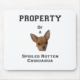 Eigentum verdorbenen faulen Chihuahua Mousepad